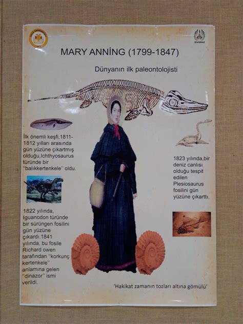 Mary Anning Poster Fosil