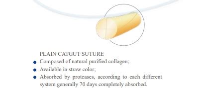 Plain Catgut Suture Agna Healthcare