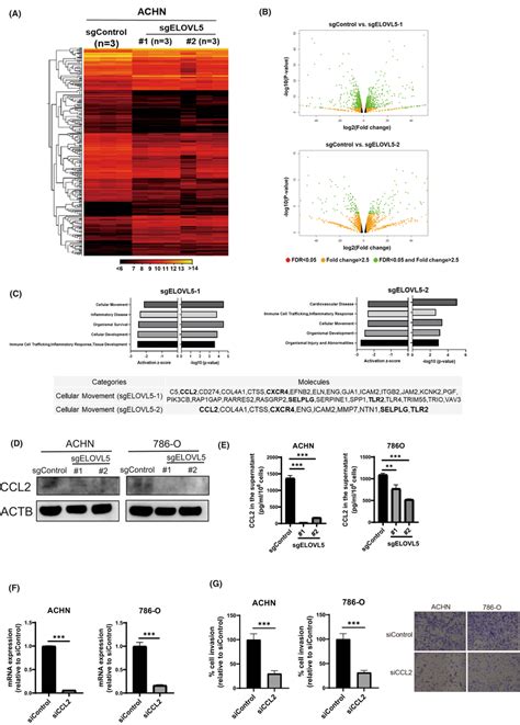 Global Transcriptomic Analysis Using Rna Sequencing Showed That Elovl5 Download Scientific