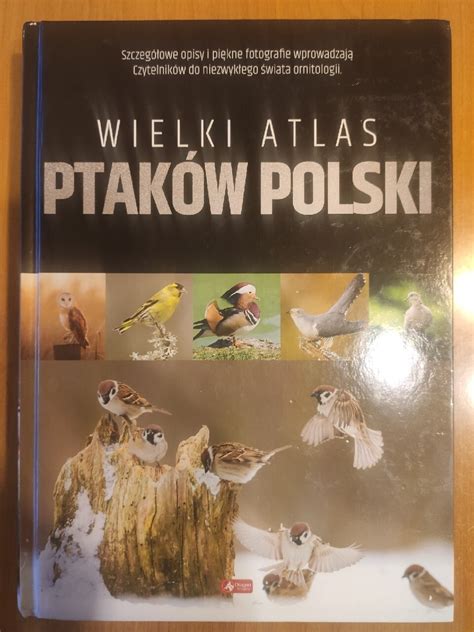 Wielki Atlas Ptak W Polski Niska Cena Na Allegro Pl