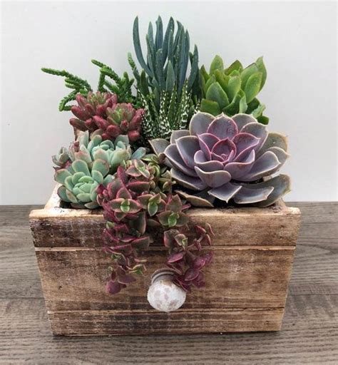 Amazing Succulents Garden Decor Ideas Page Of Lovein Home