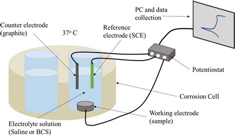 Schematic Diagram Depicting The Custom Corrosion Cell Used For Download Scientific Diagram