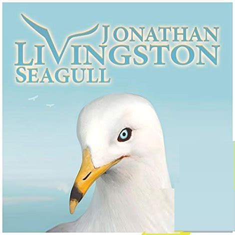 Jonathan Livingston Seagull by Richard Bach PDF Download - Today Novels