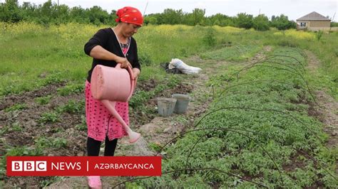 Xaçmazın 4 kəndinin su dərdi Ağac suvarılan vaxtı su qıtlığıdır