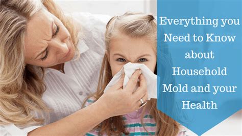 Can Household Mold Affect Your Health Here Are The Facts