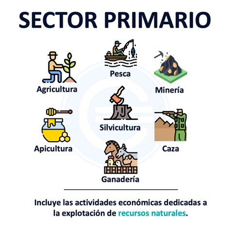 Sector Primario Qué Es Características Y Ejemplos