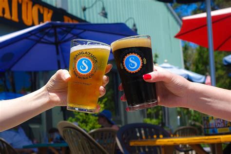 Decide The Top 2 Beers Made In Michigan