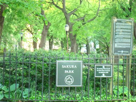 New Yorks Sakura Park And A Hop To Brookyn For Clues To Eliza Scidmore