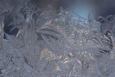 Premium Photo | The unusual frost on a winter window