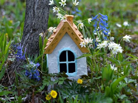 Plant Ideas For A Fairy Garden Plants That Attract Fairies To The Garden Gardening Know How