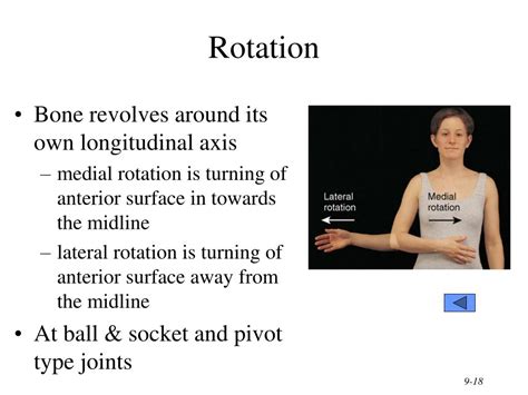 Ppt Chapter 9 Joints Powerpoint Presentation Free Download Id3130113