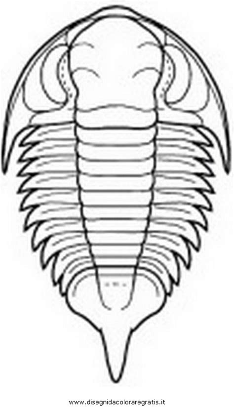 Trilobite Coloring Page Coloring Pages