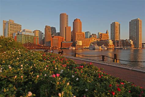 Spring Into Downtown Boston Photograph By Juergen Roth Fine Art America