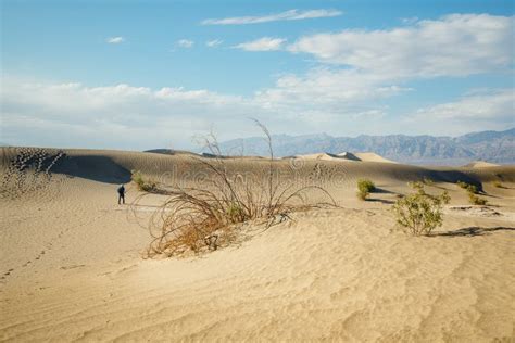 Senderismo En El Desierto Hombre Caminando Sobre Dunas De Arena En El