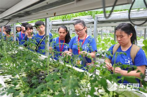 上海交大瞭望科学夏令营让学生体验舌尖上的健康图手机凤凰网