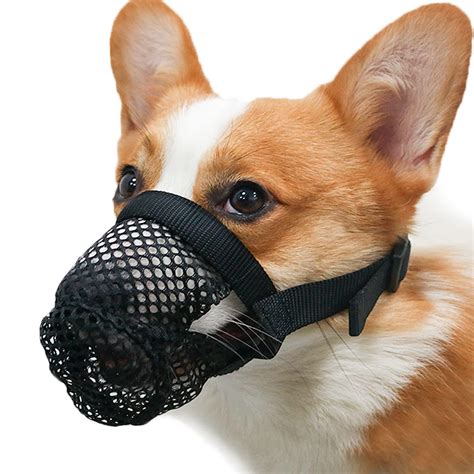 Can A Muzzle Stop A Dog From Biting