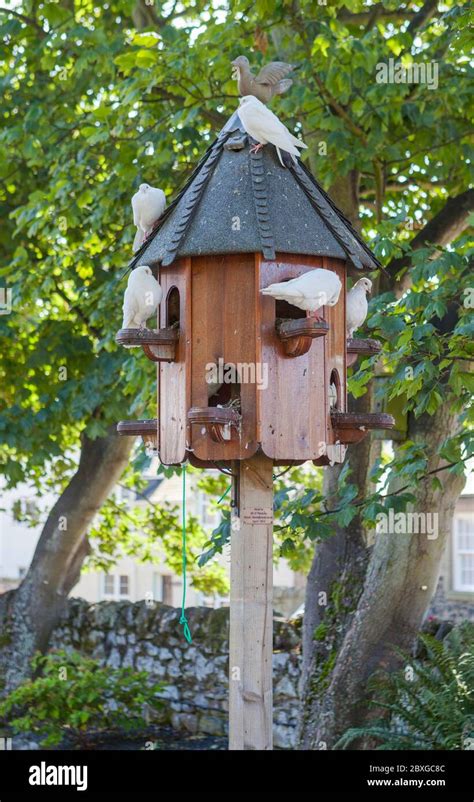 Doves At Dovecote Hi Res Stock Photography And Images Alamy