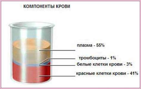Розрідження крові — показання та правила застосування препаратів і ...