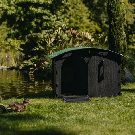 Large Duck House By Nestera Chickens To Your Door