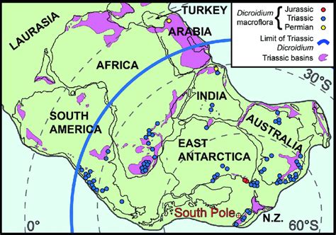 Map Of Triassic Gondwana Showing The Distribution Of Dicroidium Download Scientific Diagram