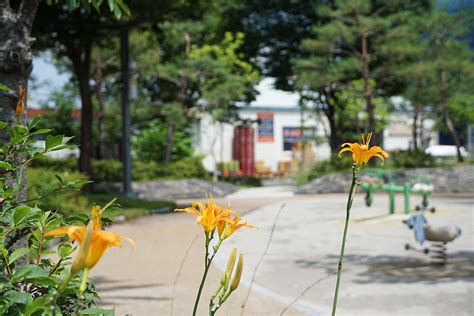 대덕구 가볼 만한 곳 폭염 피해 오정공원에서 즐기는 힐링 대전광역시 대덕구 웰로