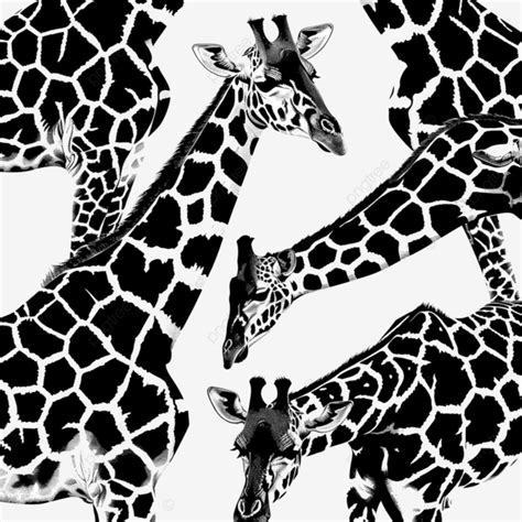 Giraffe Print Black And White Pattern Giraffe Skin Animals Png