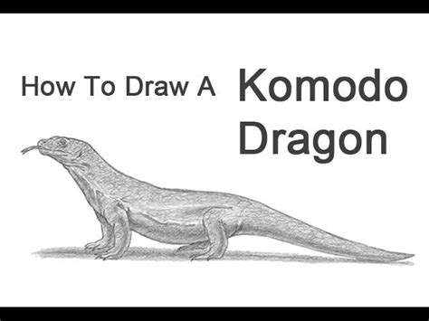 How To Draw A Komodo Dragon Sedelco