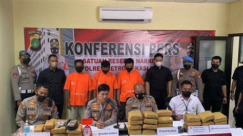 Polres Metro Bekasi Kota Berhasil Menggagalkan 31 Kilogram Ganja Siap