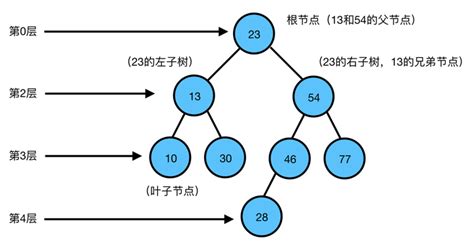 数据结构与算法 二叉树性质 知乎