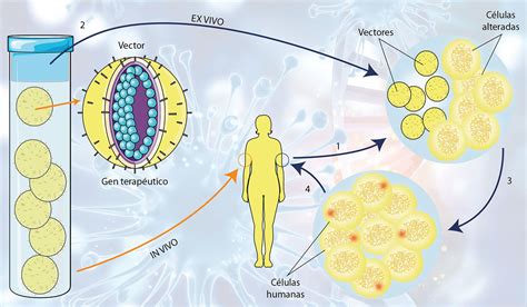 Terapia Genica La Medicina Del Futuro