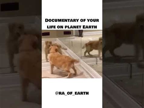 Documentary of your life on planet earth | Documentaries, Life, Planet ...