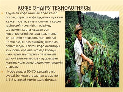 Кофе туралы жалпы мәлімет - online presentation
