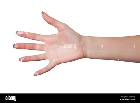 Hand Gesture Of Female Isolated On White Stock Photo Alamy