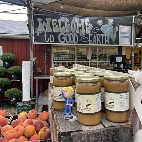 Manga Fallout 3's Bobbleheads Hidden In Real Life By Dedicated Fan 🍀