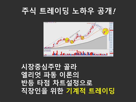 주식 주도주 반등 타점에서 매수하는 단기스윙매매 크몽