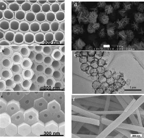 Scanning Electron Microscope Sem Images Of Tio Nanotubes Taken From