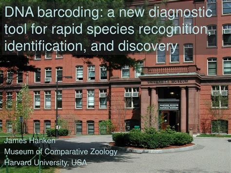 Ppt Dna Barcoding A New Diagnostic Tool For Rapid Species