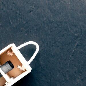 Descubre el sabor único del vino Sangre de Judas en Mercadona: precios ...