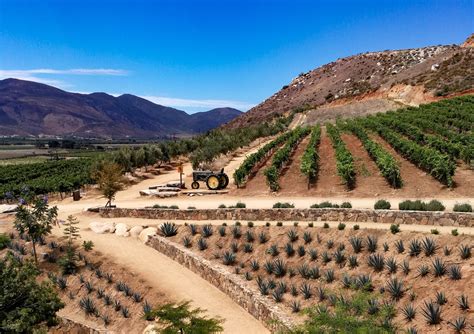 Cu L Es El Valle Agricola M S Grande De M Xico Valle Agr Cola De