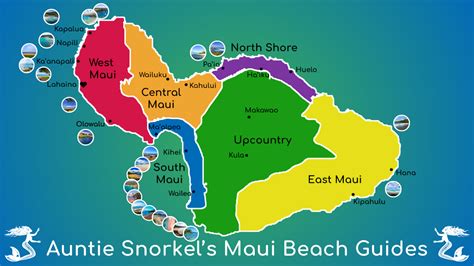 Maui Beach Guides by Auntie Snorkel - Auntie Snorkel