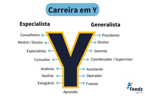 Carreira Em Y O Que Como Fazer O Plano Exemplos