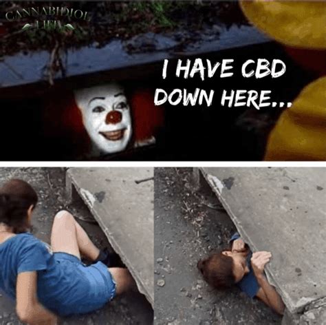 Cbd Cannabidiol Memes