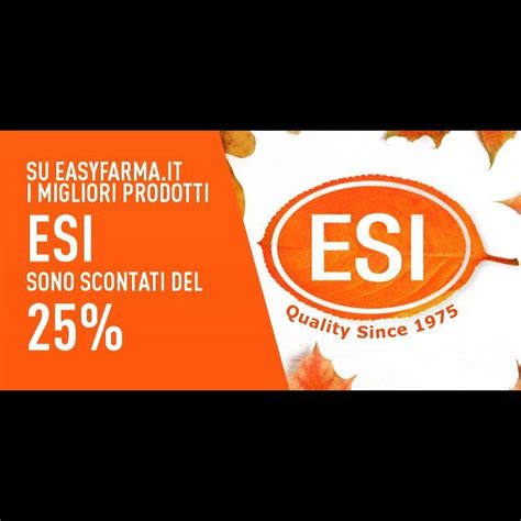 An Orange And White Banner With The Words Esi On It S Back Side