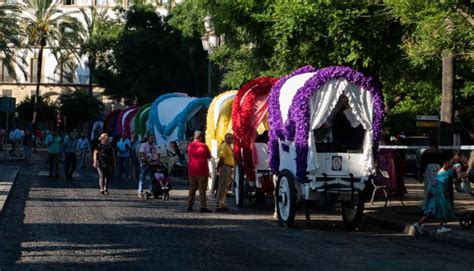 Vuelca Una Carreta De La Hermandad Del Roc O De Jerez