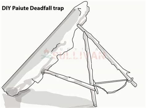 The Paiute Deadfall Trap