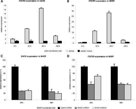 Shox Overexpression And Shox Knockdown In Different Cell Types Fgfr