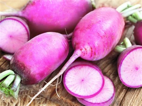 Radis Violet Formats Des Vergers Au Potager Locavor Fr