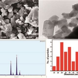 A SEM B TEM And C EDX Images And D The Particle Size