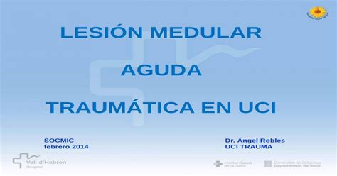 Lesi N Medular Aguda Traum Tica En Uci Lesion Medular Aguda