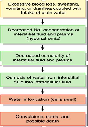 Fluids And Electrolytes Flashcards Quizlet